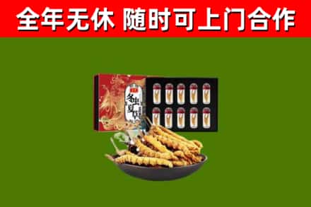 重庆回收冬虫夏草价格