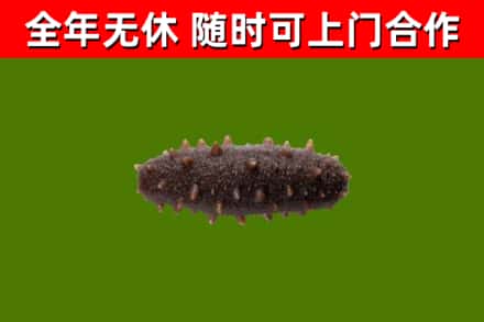 重庆回收海参干